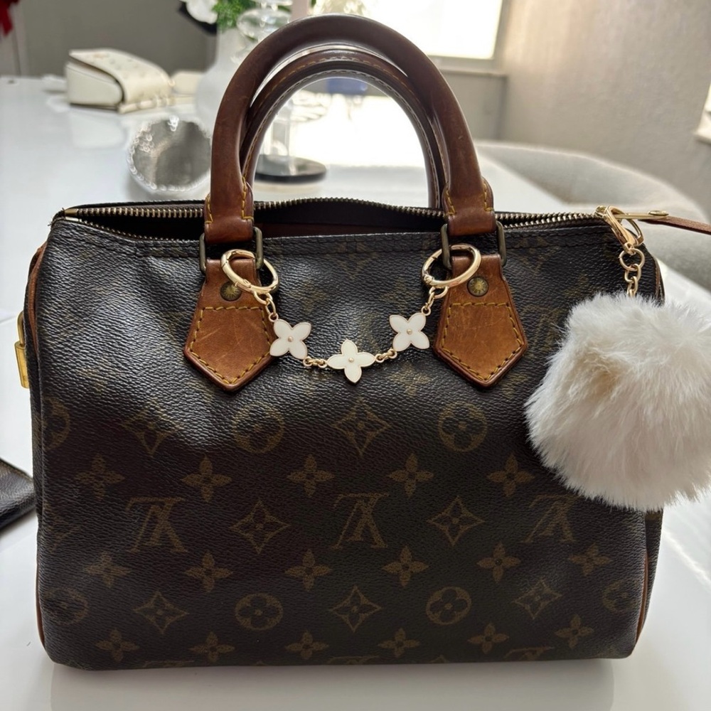 Louis Vuitton Speedy 25